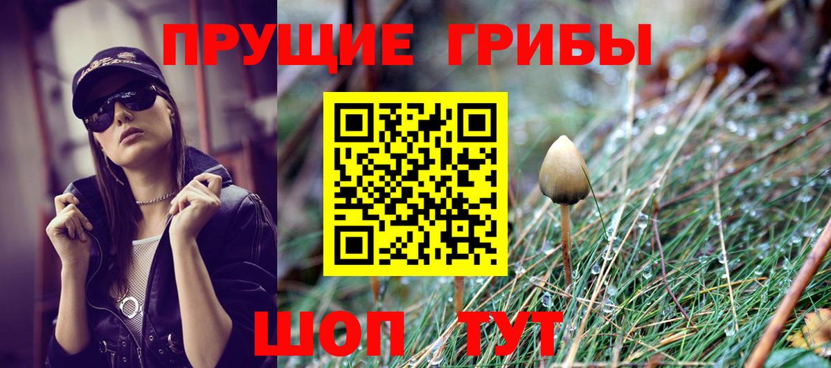 Галлюциногенные грибы Psilocybe Камышлов