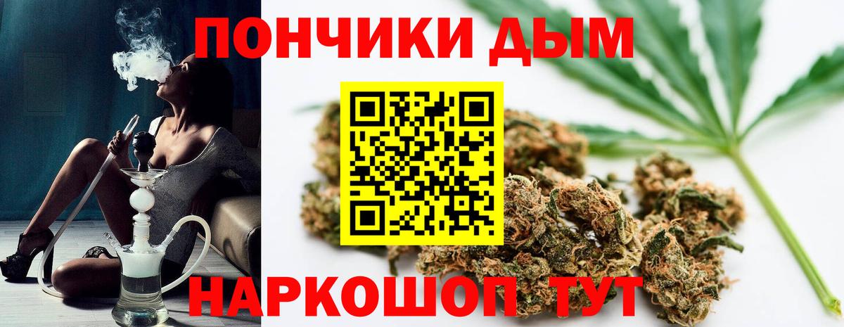 Канабис ГИДРОПОН  Вход с VPN  МАРИХУАНА марихуана  Марихуана марихуана  Камышлов 